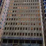 Plants: image 4 0f 4 thumb